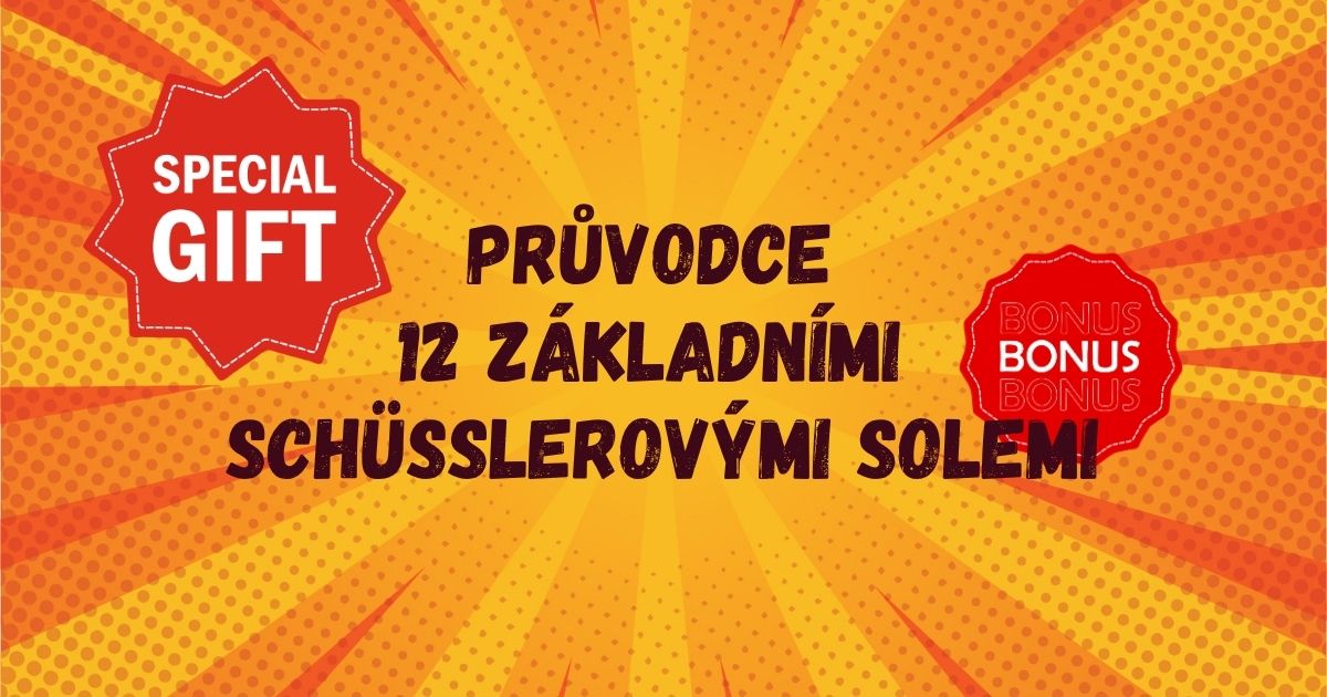 Průvodce 12 základními Schüsslerovými solemi, banner žluté pruhy retro